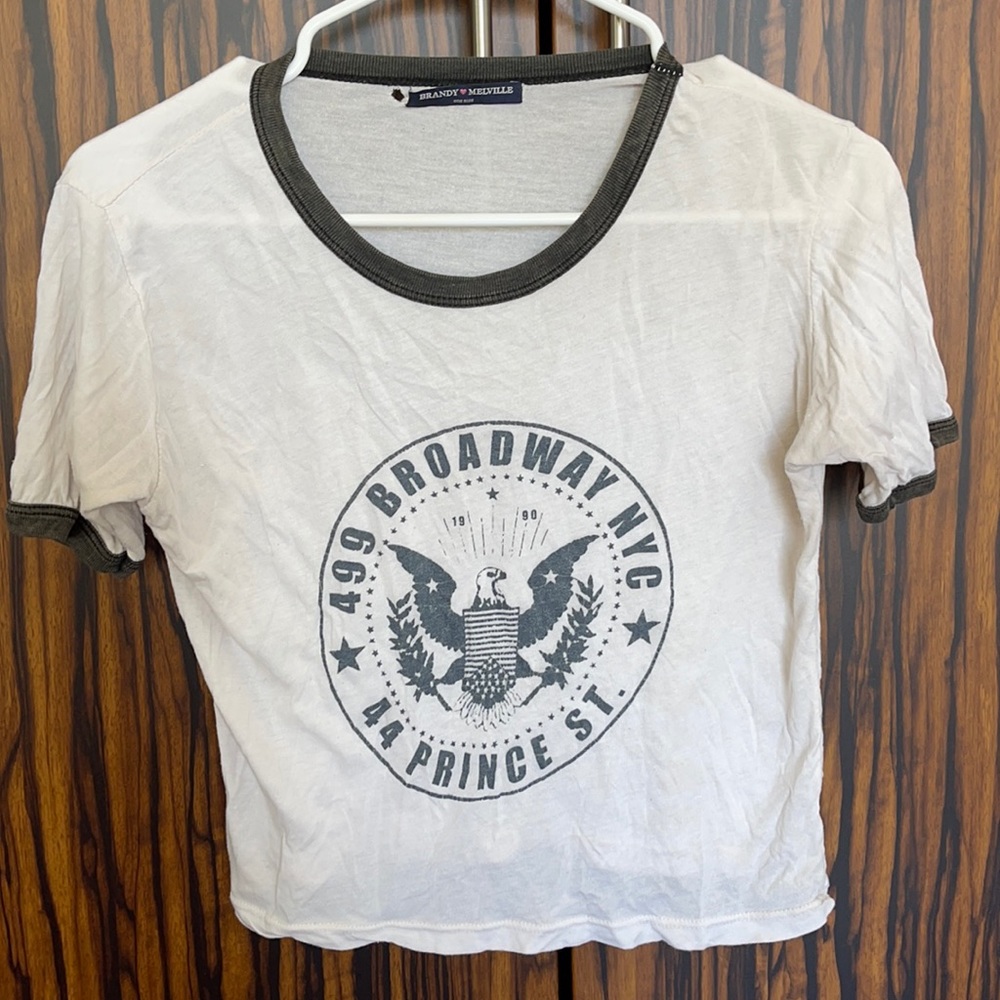 Brandy Melville crop top